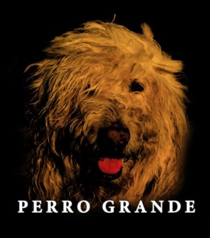 Perro Grande Album by Joaquin Berrios